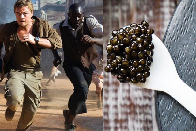 African Nation Strikes Edible 'Black Gold'—And It’s Worth Over $5,000 Per Kilo